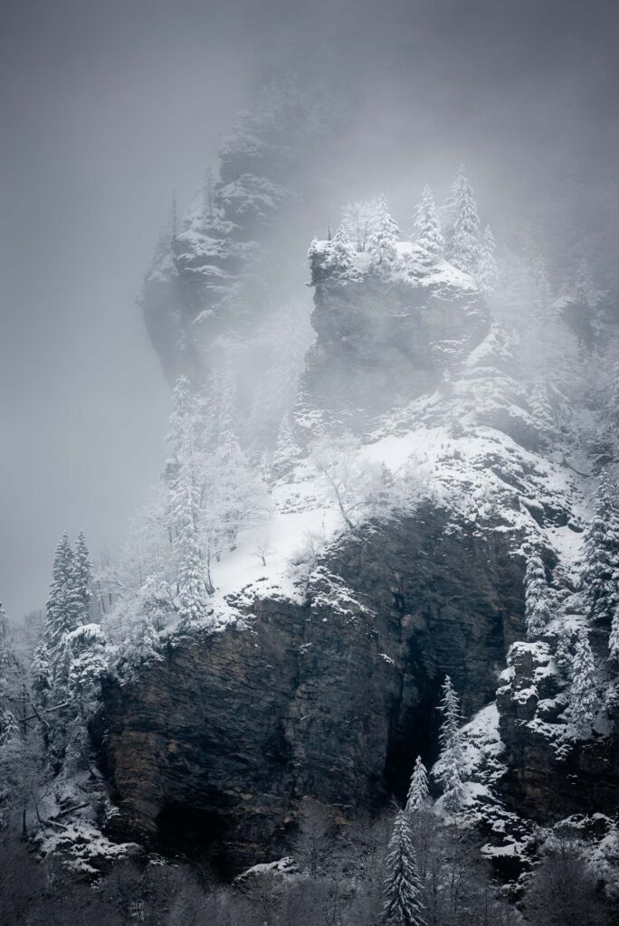 Ambiance hivernale et neigeuse sur les forêt de conifères de la réserve du fer à cheval